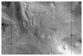 Dense Cluster of Hills
