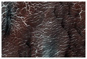 Region Dubbed Manhattan Classic Spider Terrain
