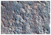 West-Facing Slope
