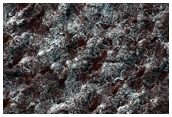 South Polar Terrain
