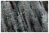 South Polar Terrain
