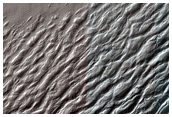 South Polar Terrain
