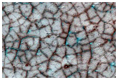 Bright and Dark Seasonal Fans on Patterned Ground
