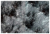 Variety of Spider Terrain
