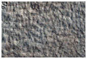 Phlegra Montes Survey
