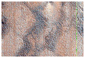 Patchy Network Near Hrad Vallis
