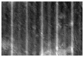 Northern Plains Survey
