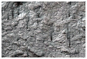 South Polar Terrain
