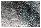 Spring Frost Enhancement of Polygon Visibility Near MOC Image E12-02319
