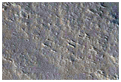 Tharsis Region Dust Storm Monitoring
