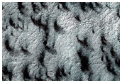 South Polar Terrain
