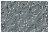 Monitoring of South Polar Residual Cap Albedo Features
