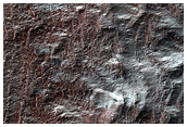 South Polar Residual Cap Spring Mosaic Campaign
