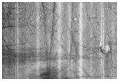 Arcadia Planitia Domes
