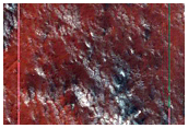 South Polar Terrain
