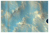 Terrain Sample
