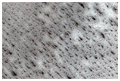 Alcoves in Polar Crater
