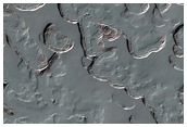 Monitoring of South Polar Residual Cap Albedo Features
