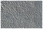 Albedo Monitoring in Phlegra and Diacria Regions
