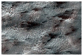 Spider Terrain
