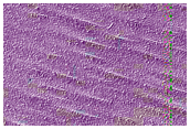South Polar Residual Cap
