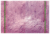 South Polar Terrain
