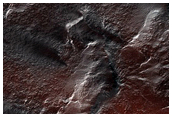 Spider Terrain with Big Spring Fans
