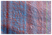 Flow Features in Protonilus Mensae

