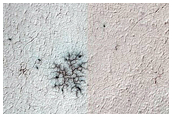 Seasonal Monitoring of Spiders off South Polar Layered Deposits
