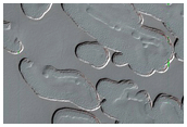 South Polar Residual Cap Monitoring
