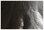 Olympus Mons Valley
