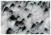 Seasonal Monitoring in Region Dubbed Ithaca
