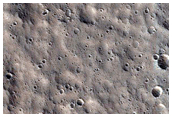 Alba Mons
