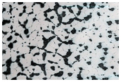 USGS Dune Database Entry Number 2244-785
