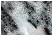 USGS Dune Database Entry Number 1935-764
