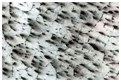USGS Dune Database Entry Number 1681-778

