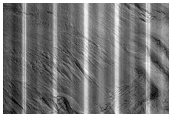 Gully Monitoring
