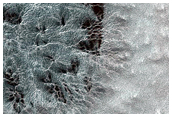 South Polar Cracked and Gullied Site
