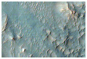 Bright Gully Deposits on Exterior of Hale Crater Rim
