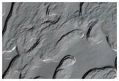 South Polar Residual Cap Monitoring
