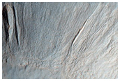 Impact Crater with Gullies
