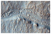 Gullies in Southern Mid-Latitude Crater
