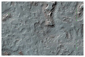 Monitoring of South Polar Residual Cap Albedo Features
