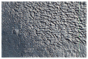 Slopes in Arcadia Planitia
