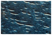 Terrain Sample
