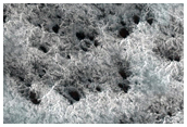 Seasonal Monitoring of Spiders Off South Polar Layered Deposits
