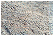 Monitoring Recent Impact Site
