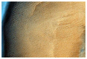 Dune with Seasonally-Persistent Light-Toned Features
