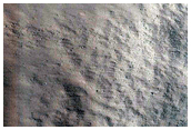 Crater in Nepenthes Region
