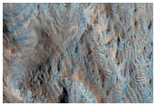 Hashir Crater
